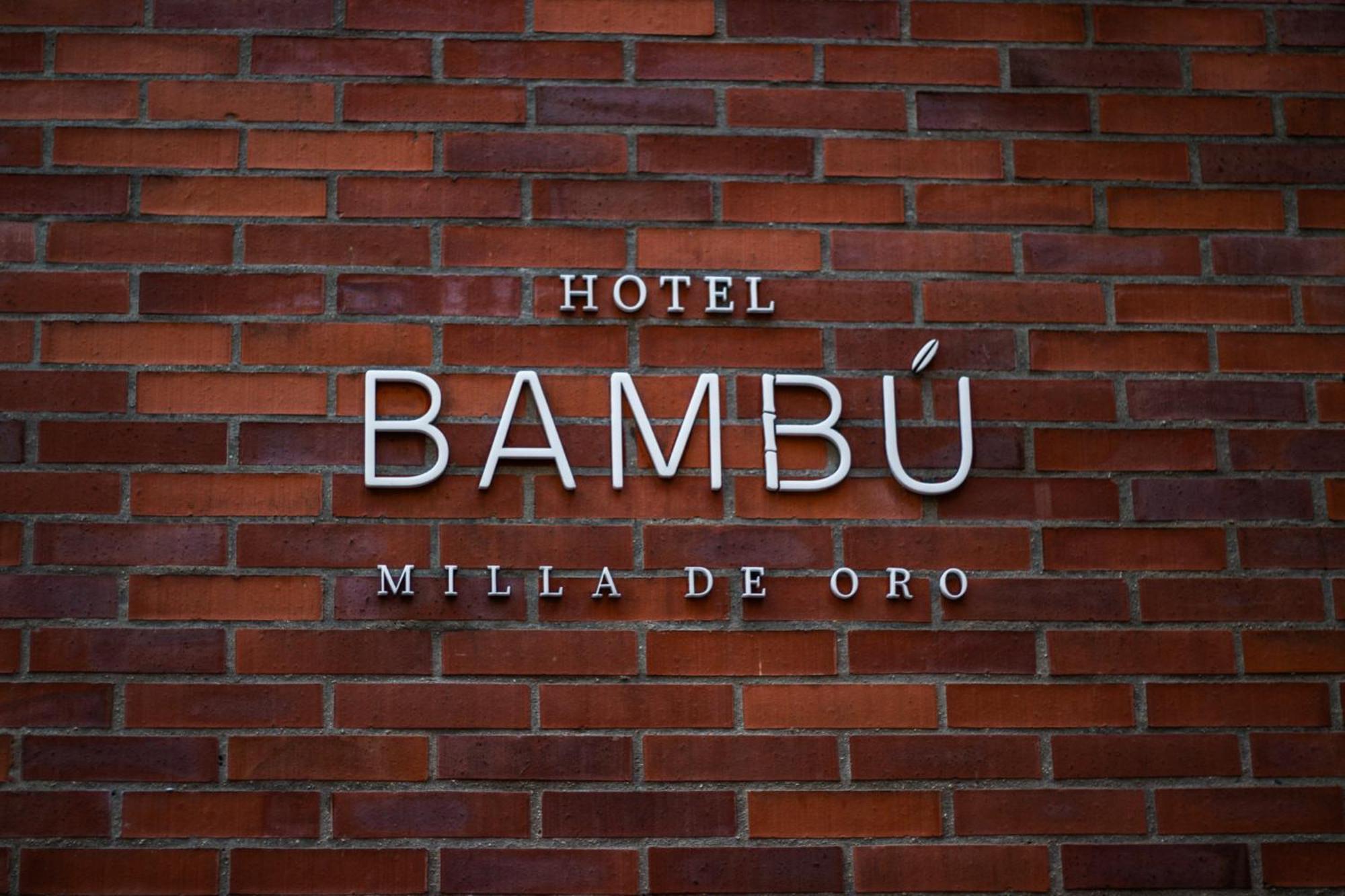 Bambu Milla De Oro *